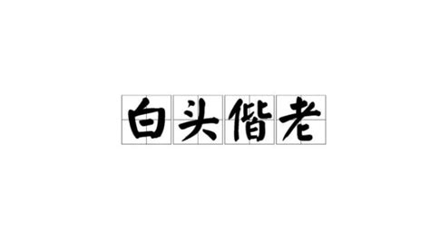 白头偕老 meaning 